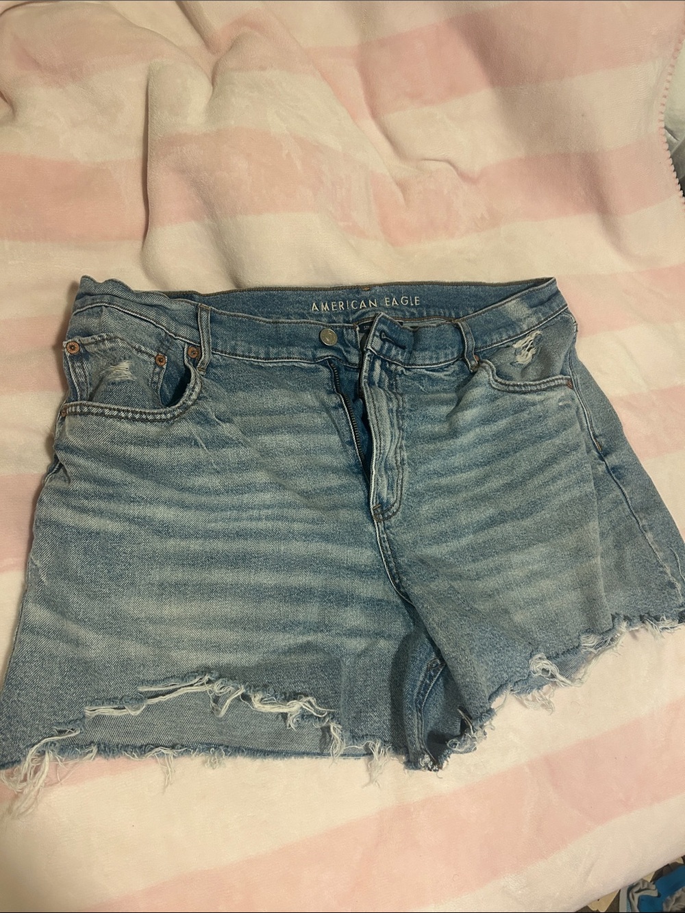 American Eagle Strigid Relaxed Short Distressed Cutoff Jean Shorts